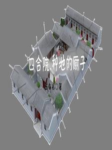 四合院 傻柱的新生
