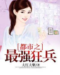 都市之最强狂兵黄百万最后结局