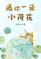 送你一朵小花歌词