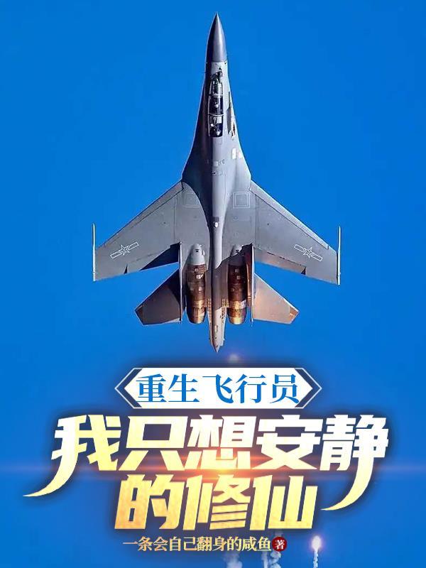 重生飞行员军事