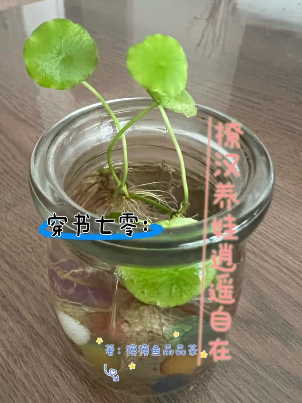 才进国家队的是谁