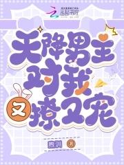 世子你别乱来贴吧