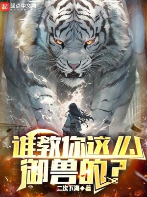 这个大宋有点怪起点